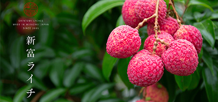 農商工連携審査員特別賞写真