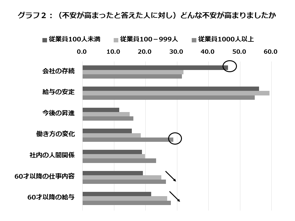 グラフ：（不安が高まったと答えた人に対し）どんな不安が高まりましたか