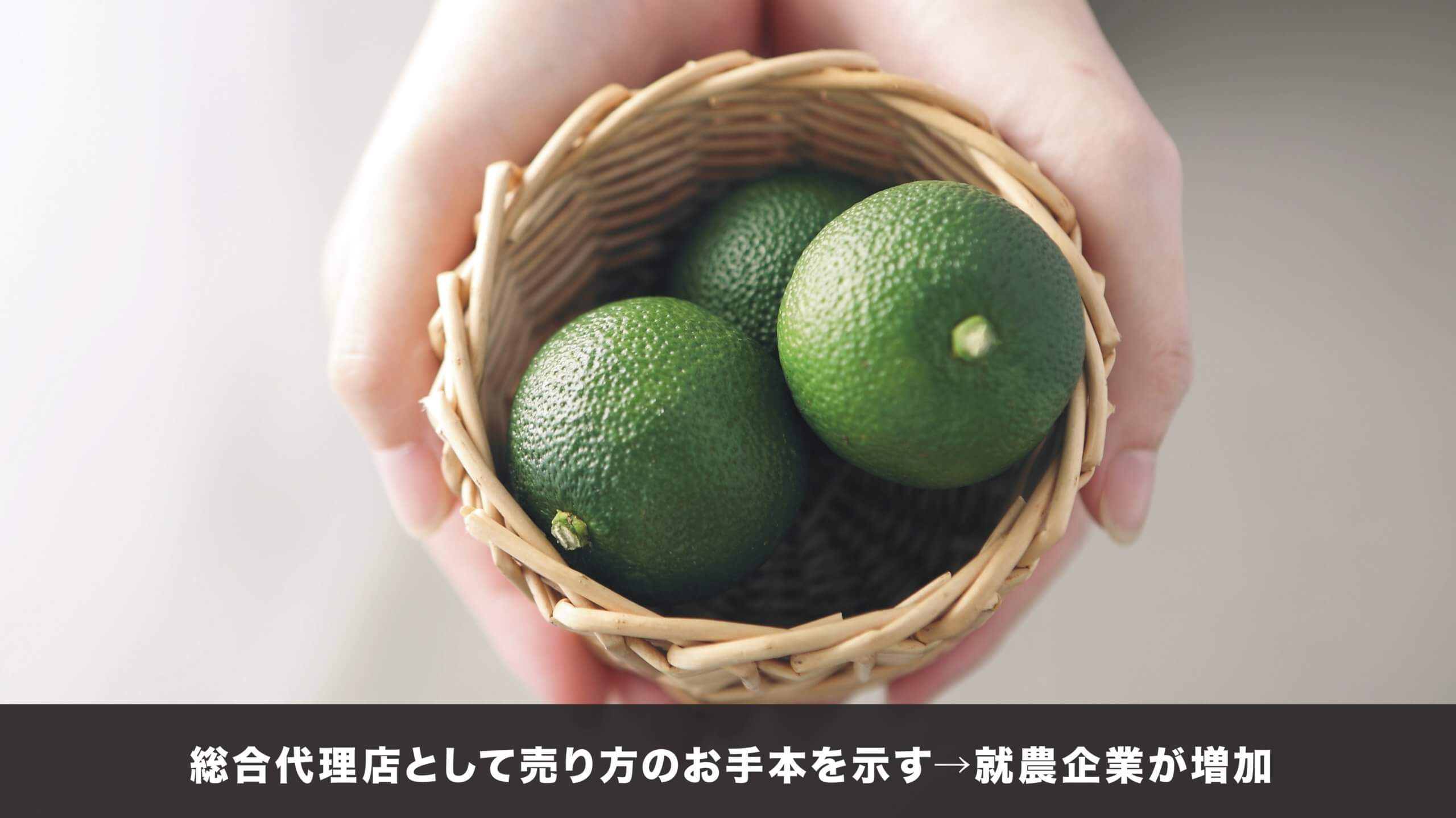 売り方のお手本
