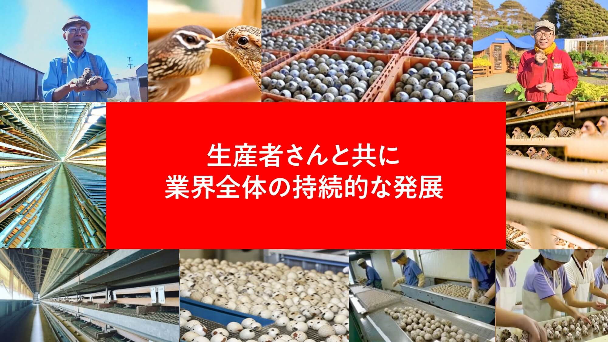 生産者さんと共に業界全体の持続的な発展